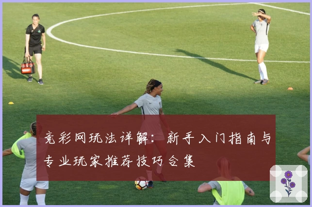 竞彩网玩法详解：新手入门指南与专业玩家推荐技巧合集