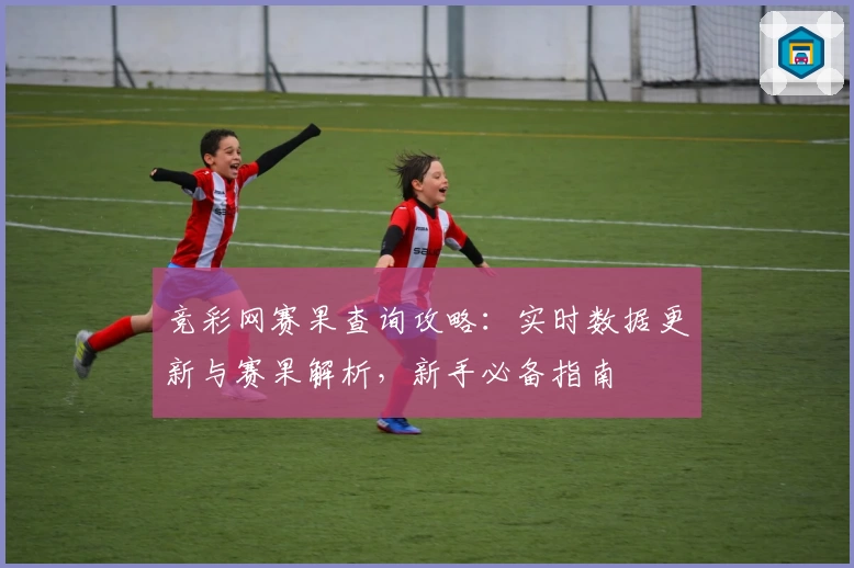 竞彩网赛果查询攻略：实时数据更新与赛果解析，新手必备指南