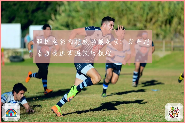 解析竞彩网指数功能亮点：新手指南与快速掌握技巧教程