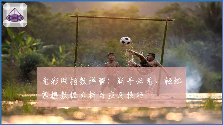竞彩网指数详解：新手必看，轻松掌握数据分析与应用技巧