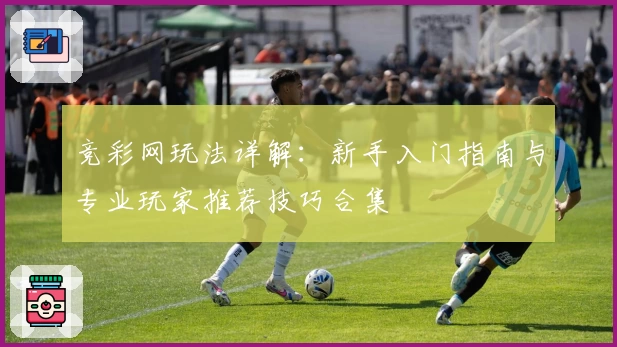 竞彩网玩法详解：新手入门指南与专业玩家推荐技巧合集