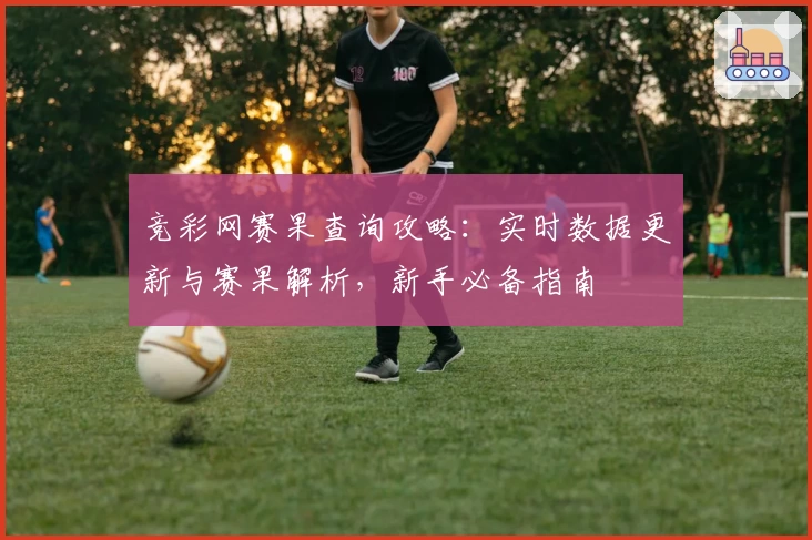 竞彩网赛果查询攻略:实时数据更新与赛果解析,新手必备指南